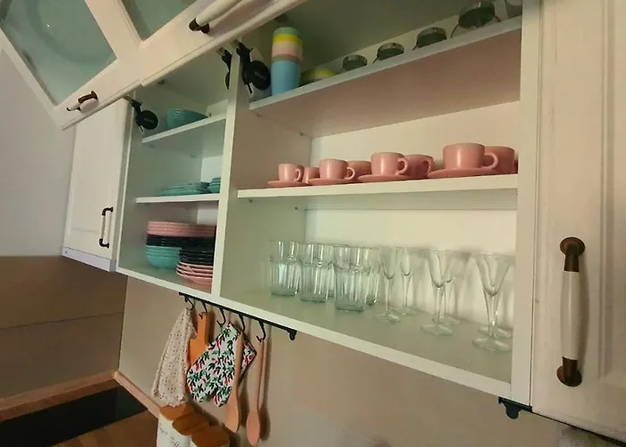 1001 Noc Zlatibor- Primamo Vaucere ! *