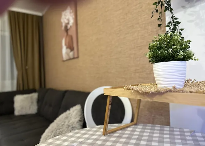 1001 Noc Zlatibor- Primamo Vaucere ! * Zlatibor