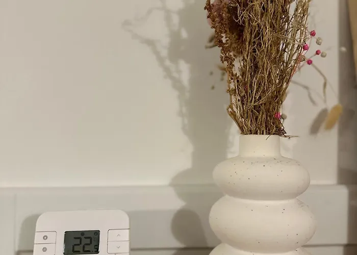 דירה 1001 Noc Zlatibor- Primamo Vaucere ! *